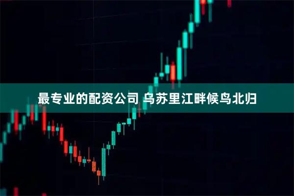 最专业的配资公司 乌苏里江畔候鸟北归